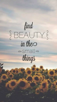 beauty, find, small things, sunflowers wallpaper