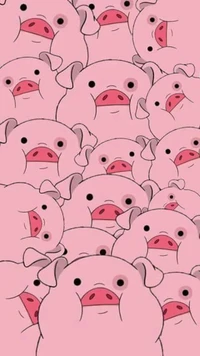 animal, pig wallpaper