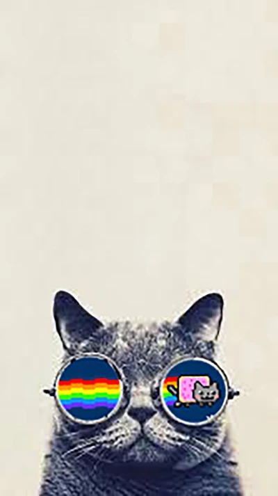 hipstercat, nyan cat