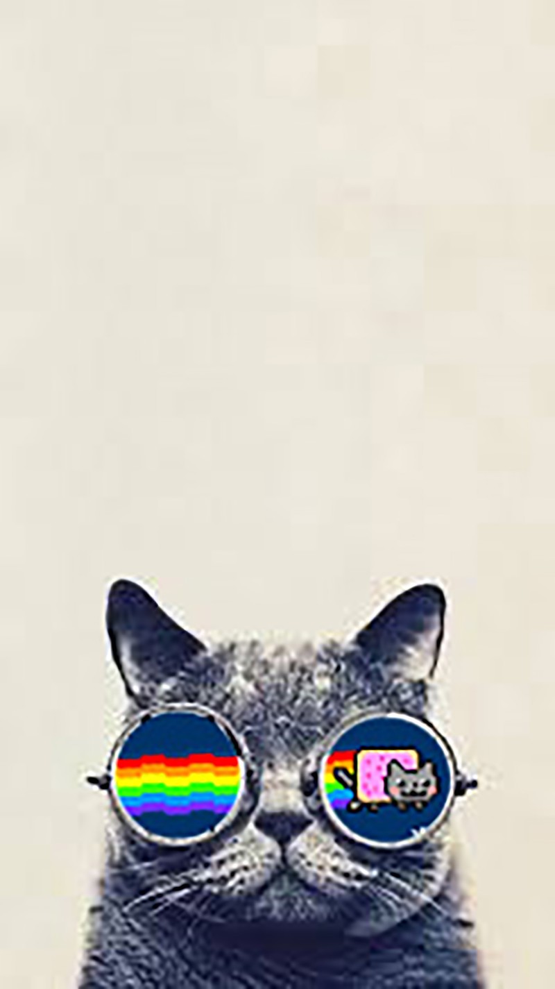 Кот в очках с радугой на нем (hipstercat, нян кот, nyan cat)