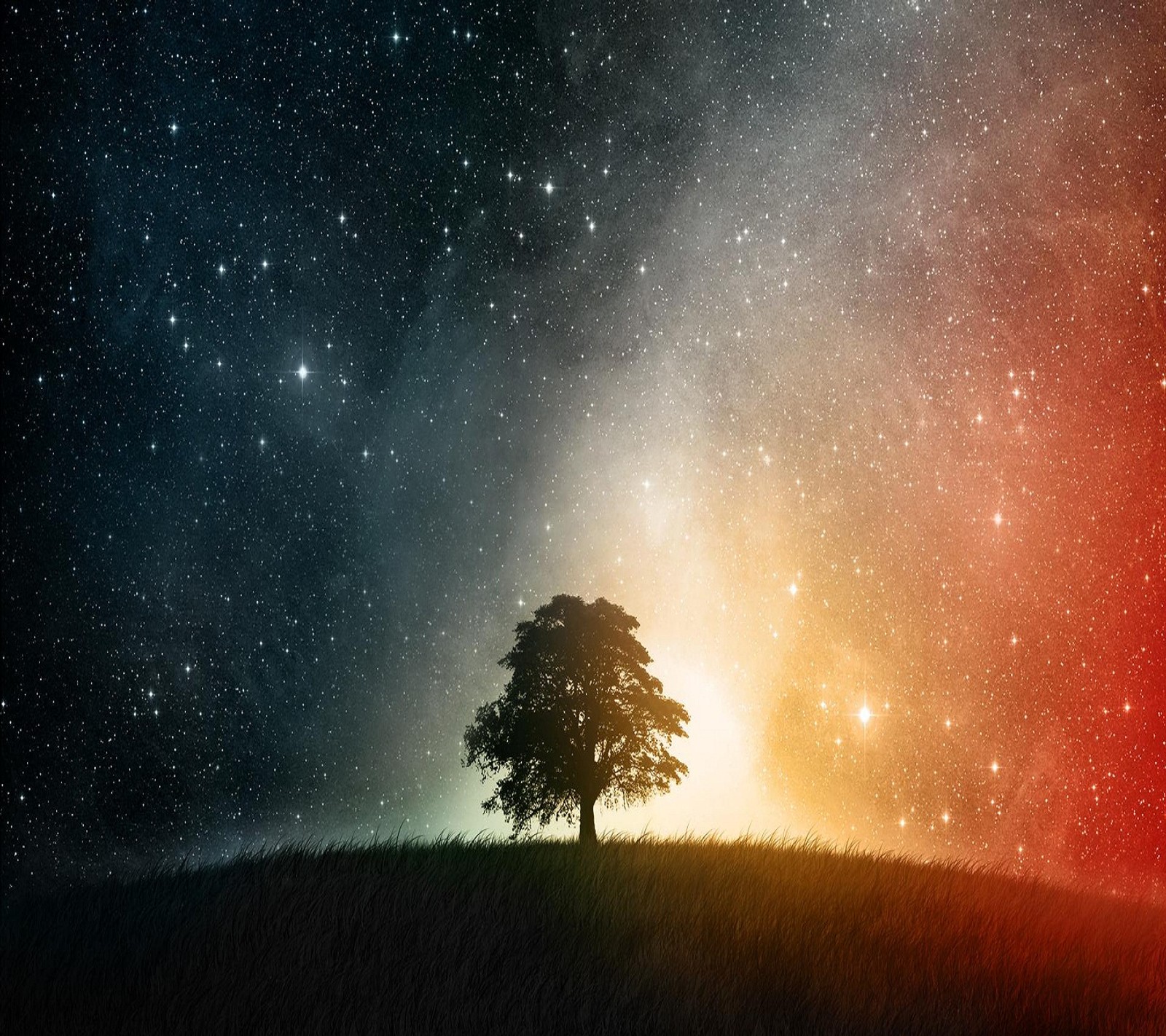 galaxy, stars, tree wallpaper