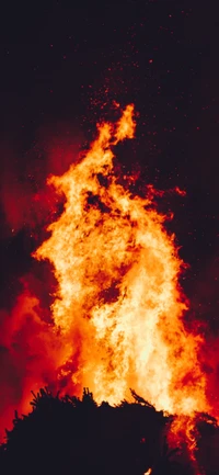 flame, fire, bonfire, heat, tree wallpaper