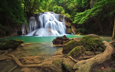 Seren Wasserfall, der in einen ruhigen Pool fällt, umgeben von üppiger Vegetation