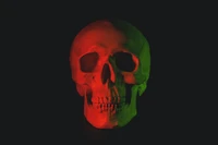 Vibrant Skull Art: A Human Skull Illuminated in Red and Green Lights