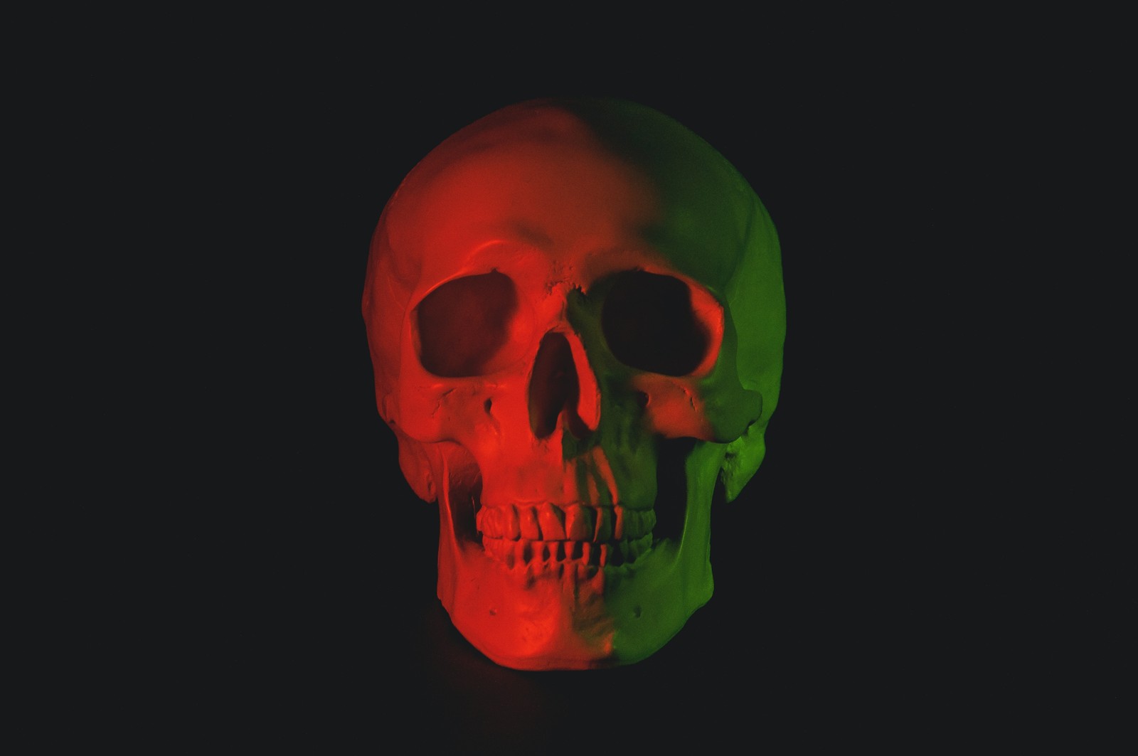 skeleton, skull, human, skull art, human body wallpaper