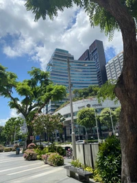 Moderno condominio en medio de exuberante vegetación urbana