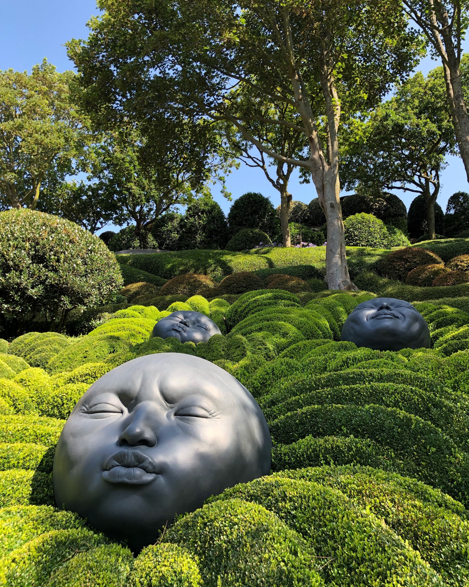 Há muitas estátuas de rostos em um jardim de arbustos (natureza, jardim, arbusto, cerca viva, escultura)