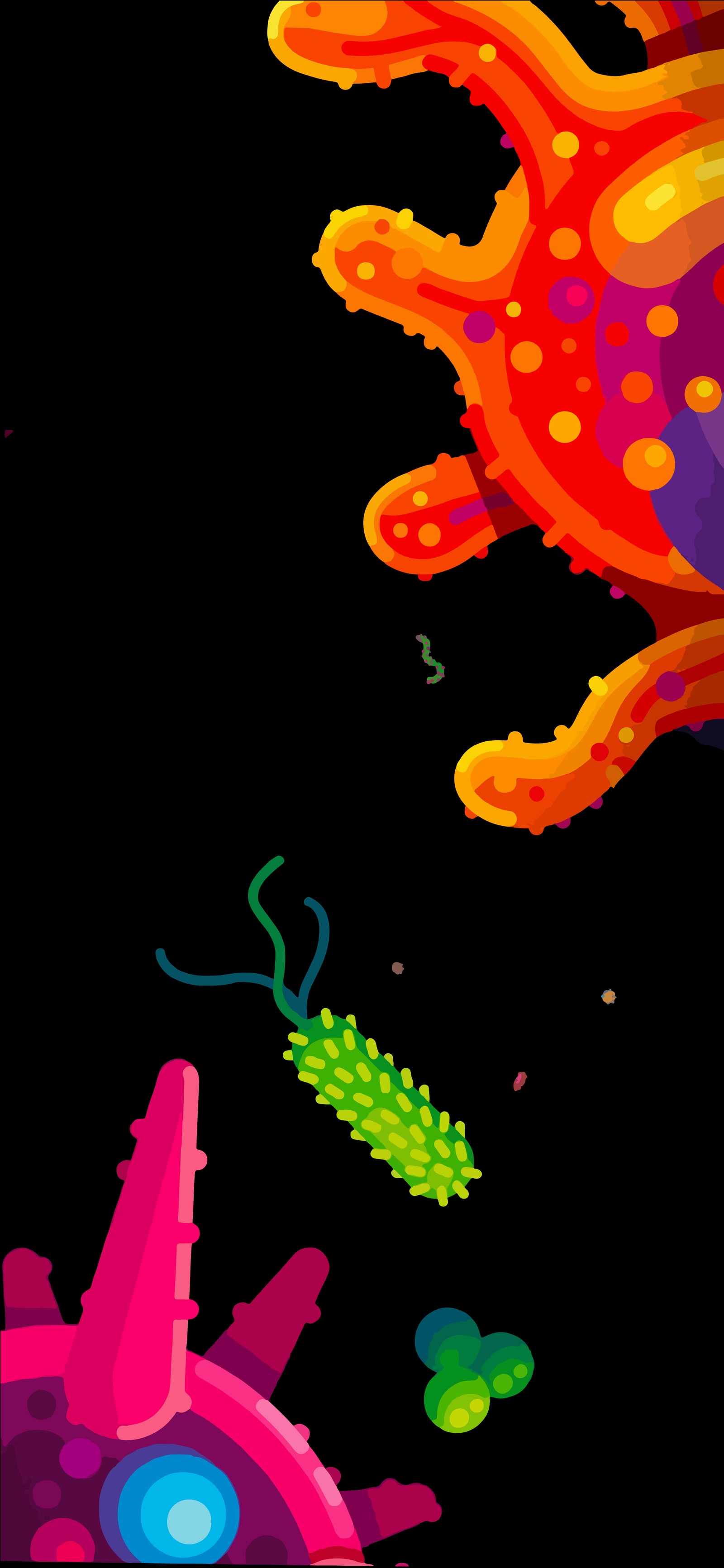 Cartoon fish with a colorful body and a green tail (graphic design, light, black, gas, pattern)