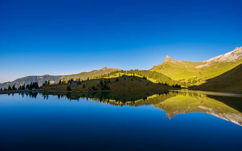 Арабские горы с озером и несколькими деревьями (lake bannalpsee, идиллия горного озера, швейцария, синее небо, ясное небо)