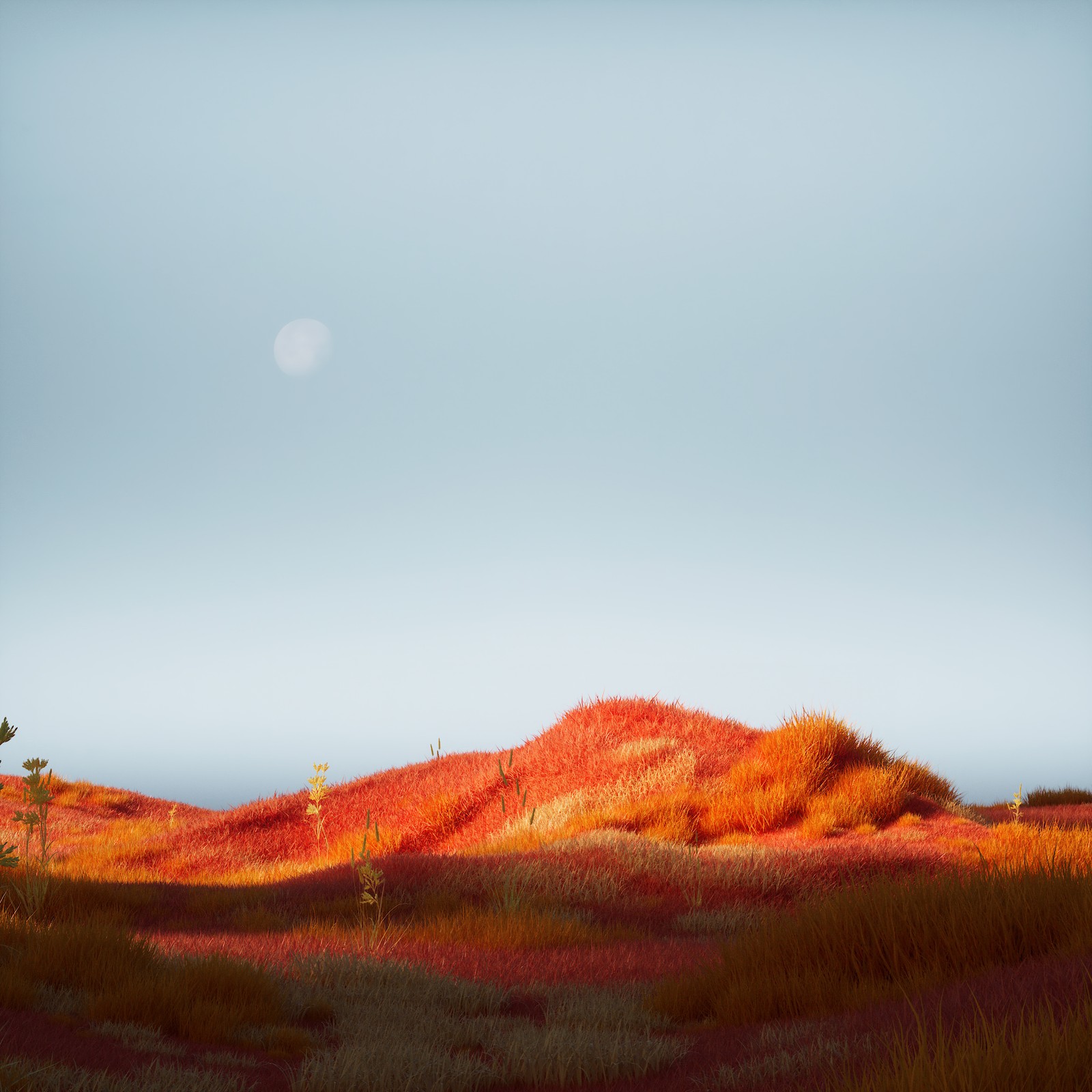 Lade graslandschaft, mondlicht, grasfeld, mysteriös, ruhig Hintergrund herunter