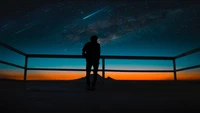 Silhouette Against a Starry Sky with a Meteor Shower at Dusk