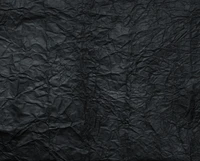 paper, black, branch, tree, darkness