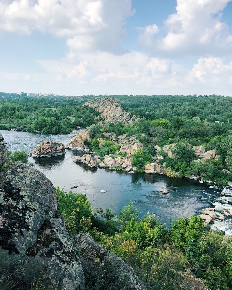 Река, протекающая через густой зеленый лес, заполненный камнями (водные ресурсы, пойменная зона, водоем, растительность, природа)