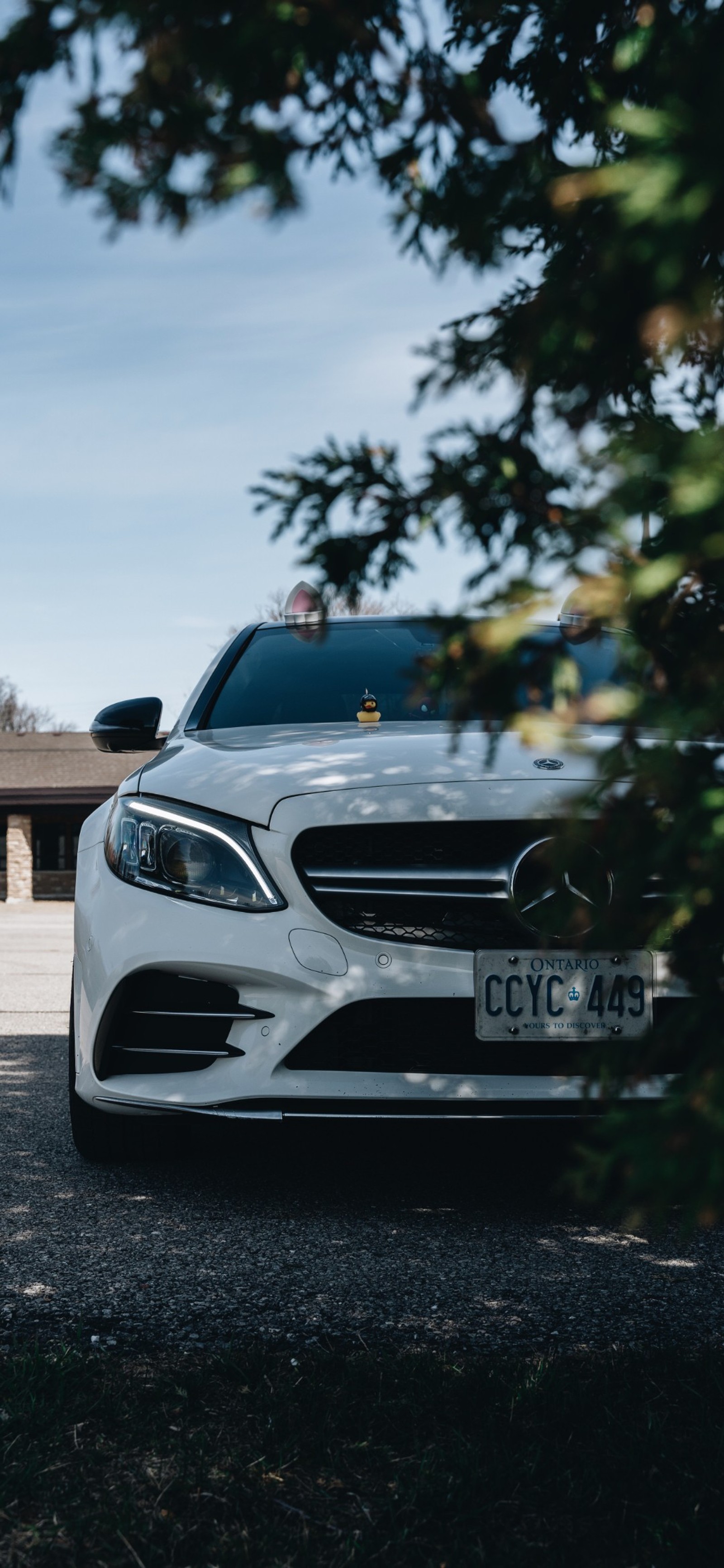 Un primer plano de un mercedes blanco estacionado en un camino de acceso. (coche mediano, coches, coche compacto, coche deportivo, farol)