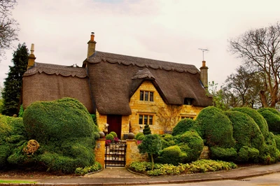 Charming Thatched Cottage Surrounded by Lush Greenery