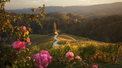 Paisagem montanhosa serena com flores em flor e um caminho sinuoso