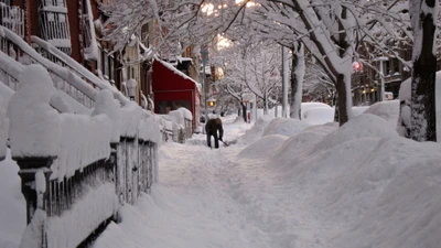 winter, snow, freezing, blizzard, tree