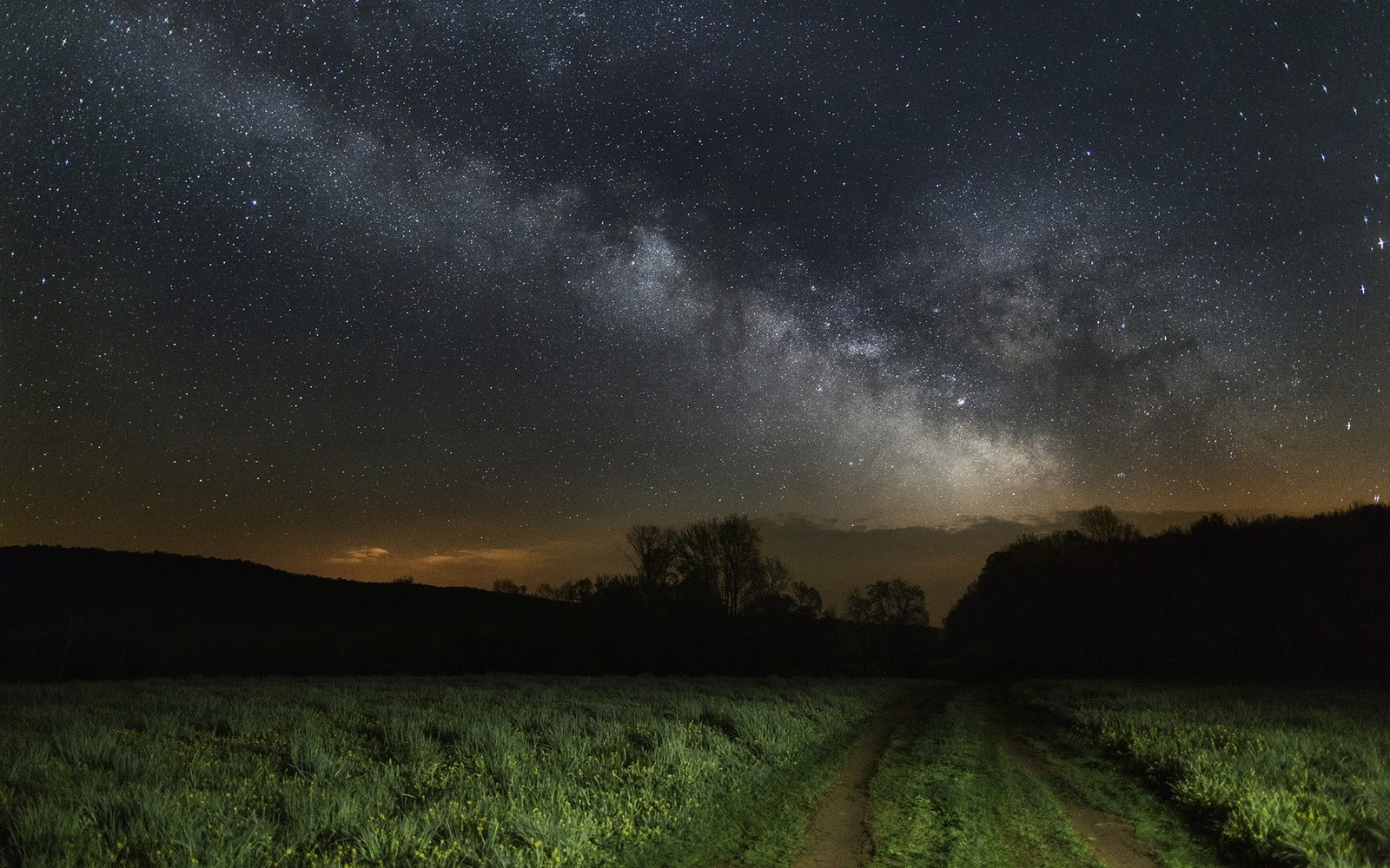 Uma vista de um campo com uma estrada de terra e um céu cheio de estrelas (natureza, noite, árvore, estrela, céu)