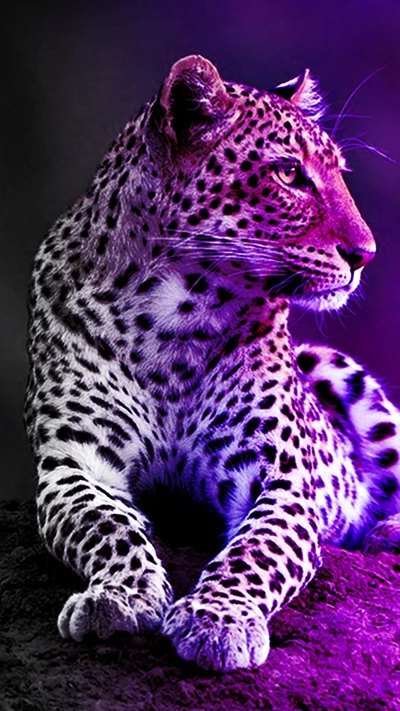 Leopardo en sombras púrpuras