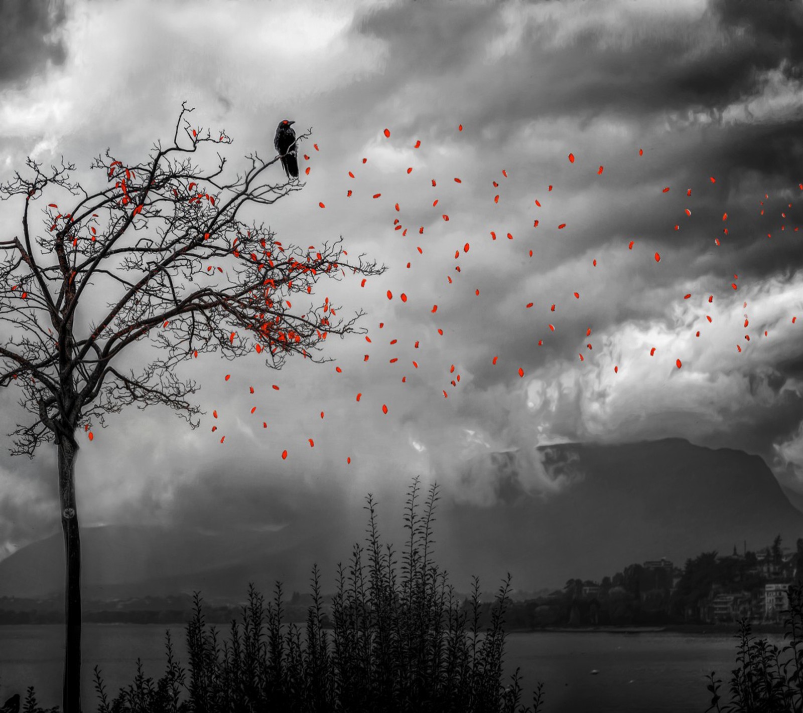 Hay muchos pájaros volando alrededor de un árbol en un día nublado (abej, beograd, madera)