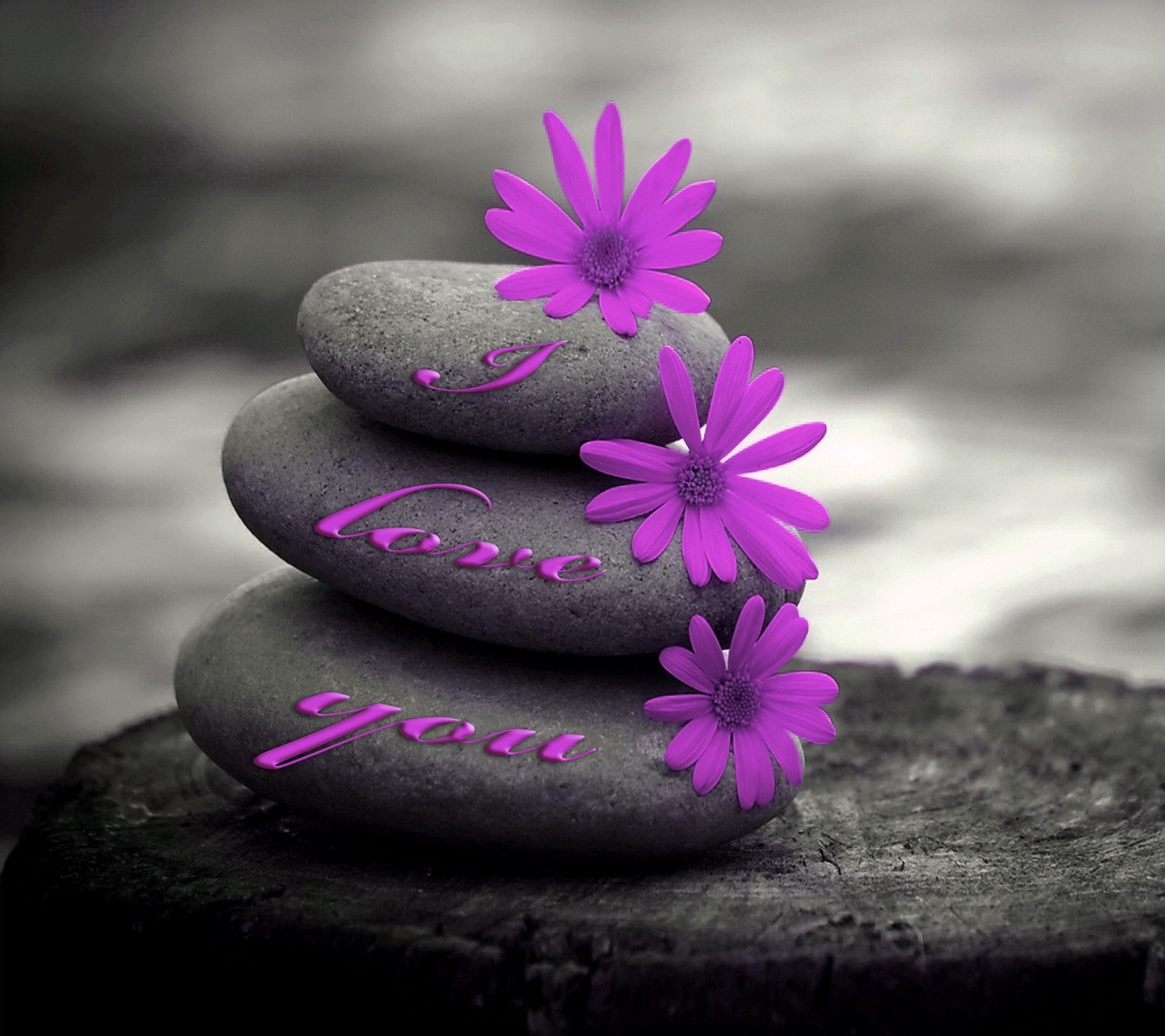 flowers, love, purple, stones, you Download Wallpaper