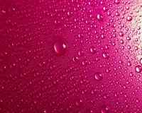 Close-up de gotas de água rosa em uma superfície vibrante