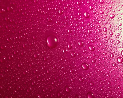 Gros plan de gouttes d'eau roses sur une surface vibrante