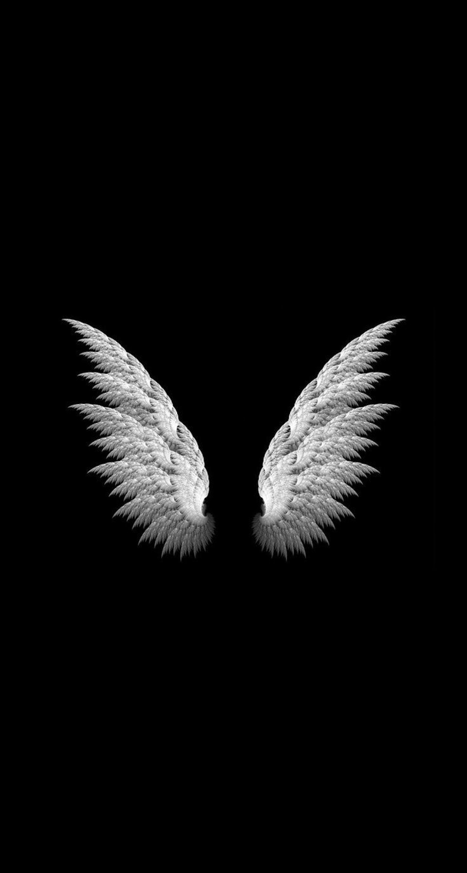 wings, angel, devil, white, fairy wallpaper