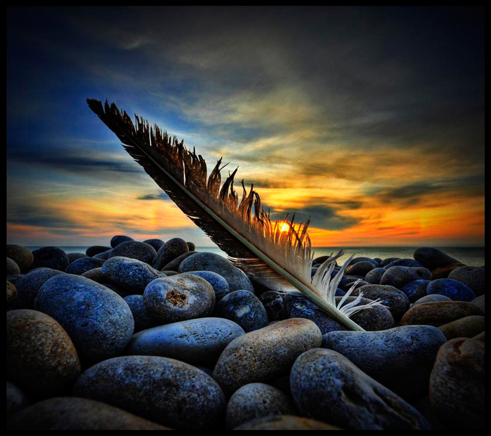 Une plume d'arafe reposant sur une plage rocheuse au coucher du soleil (plume, papier peint)