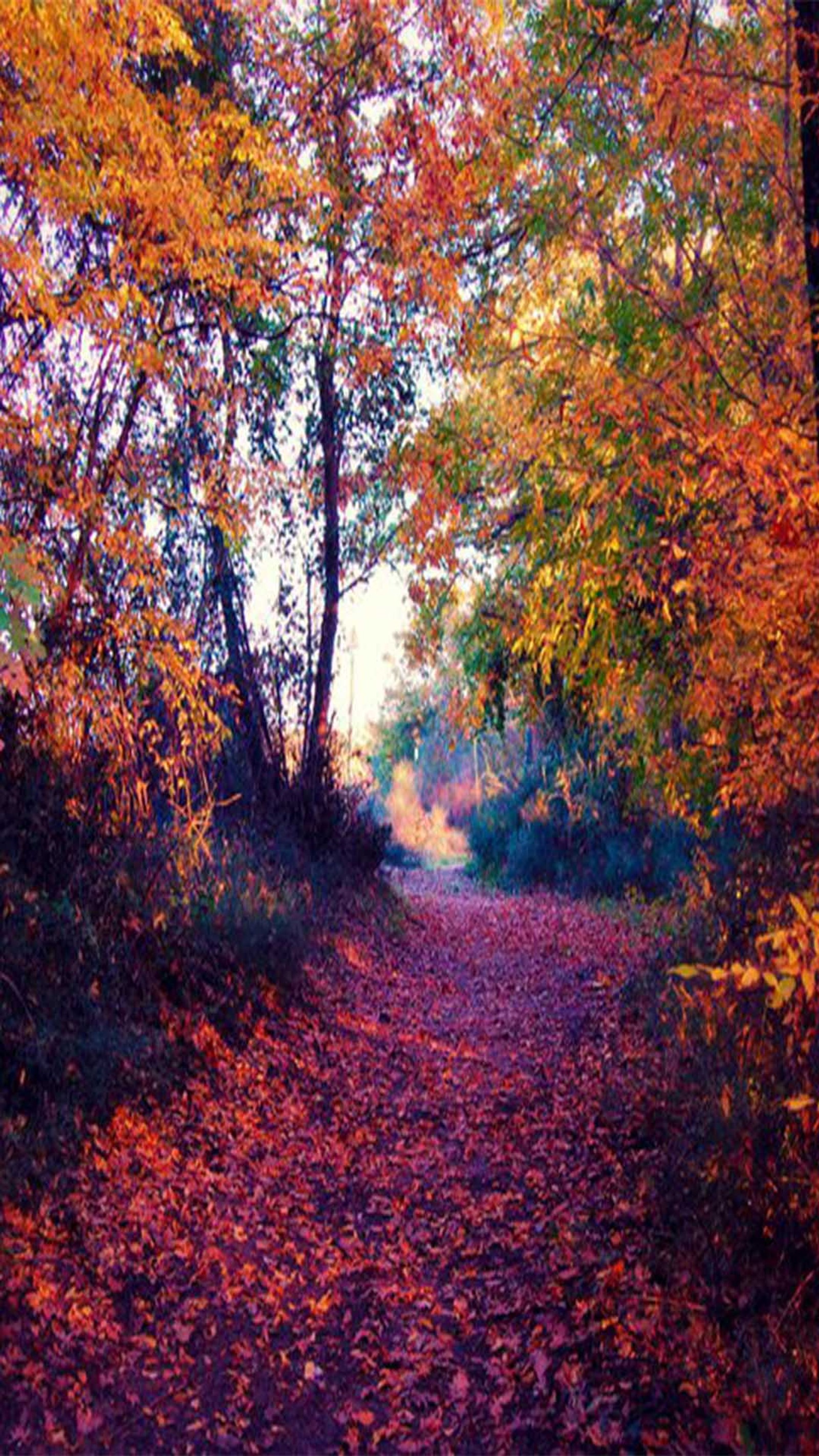 Lade herbst, zeit Hintergrund herunter