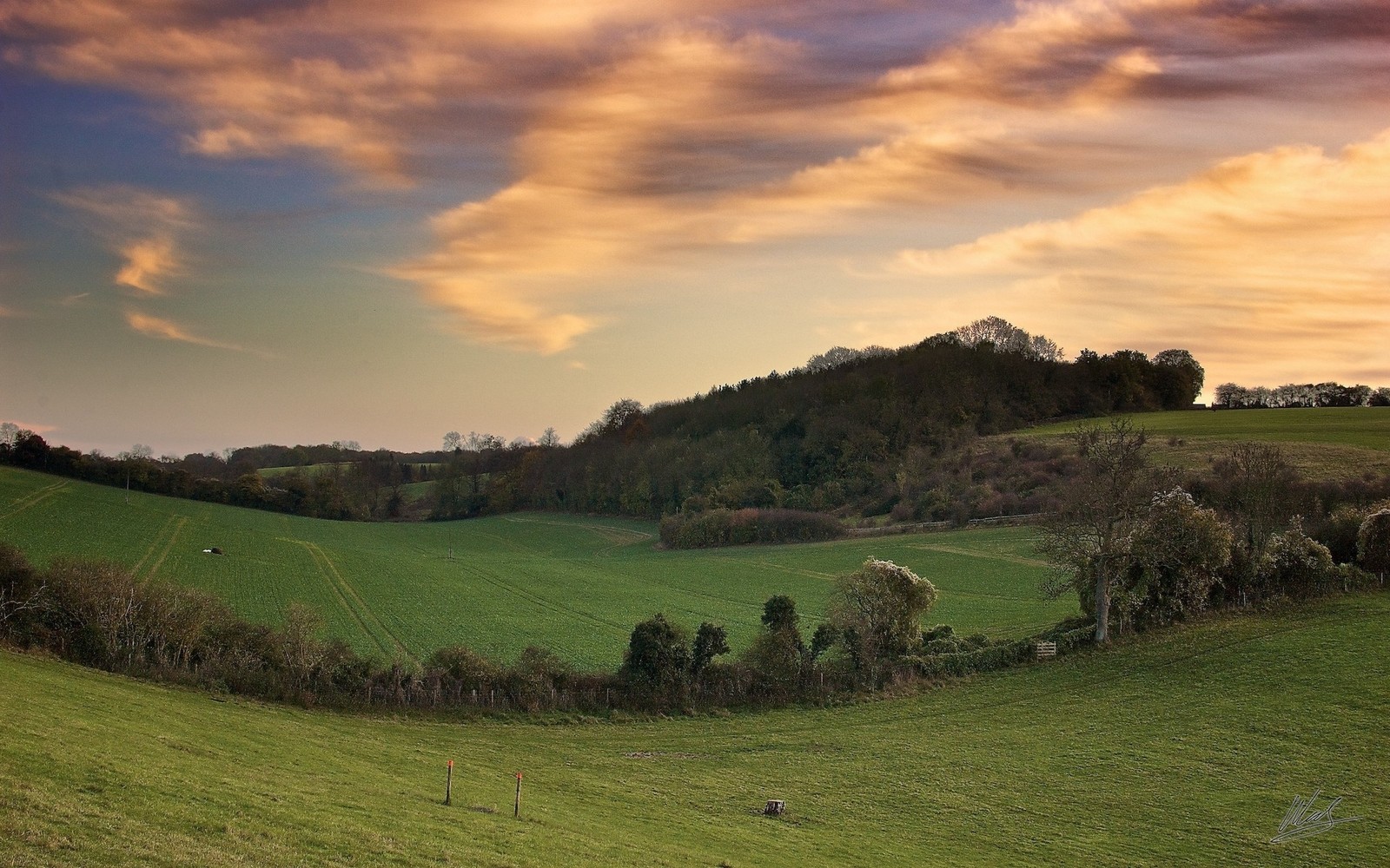 Une vue d'un champ avec quelques moutons qui paissent (nature, colline, nuages, nuage, hauts plateaux)