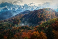 Herbstlandschaft der schneebedeckten Alpen in Europa