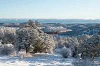 Schneebedeckte Winterlandschaft mit gefrosteten Bäumen und malerischen Hängen