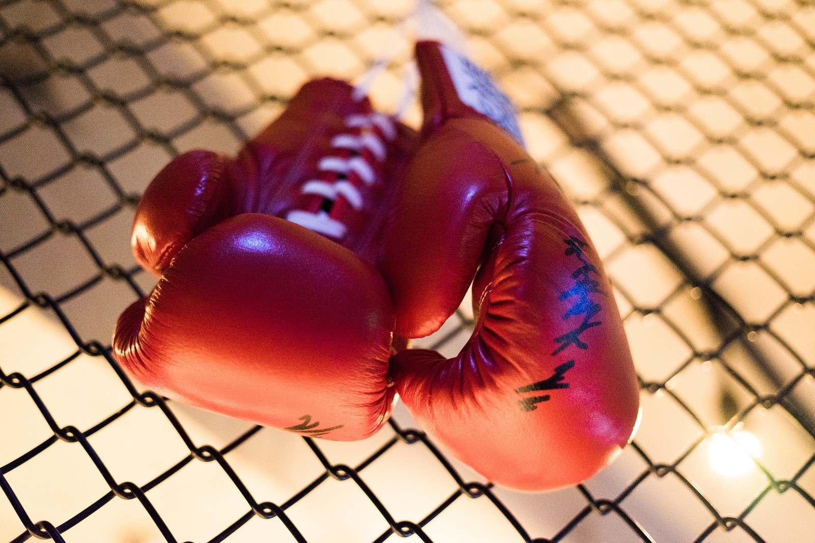 boxing, boxing glove, glove, news, combat wallpaper