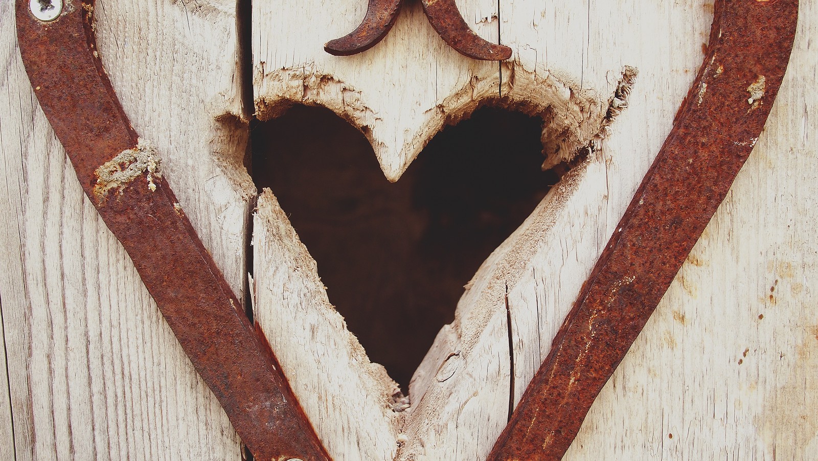 Un gros plan d'un trou en forme de cœur dans une clôture en bois (cœur, bois, arbre, amour, métal)