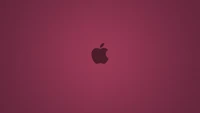 Magenta Apple Logo on Gradient Background