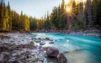 Serene Mountain River at Yoho National Park Surrounded by Lush Wilderness