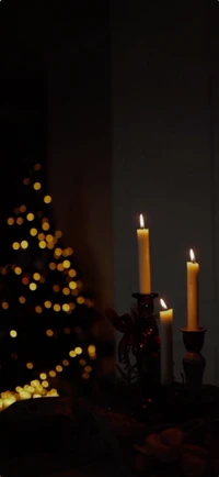 christmas, candle, christmas tree, wax, evergreen