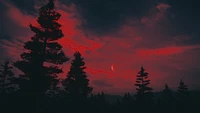 Lune rouge illumine un ciel nocturne serein au-dessus d'une forêt