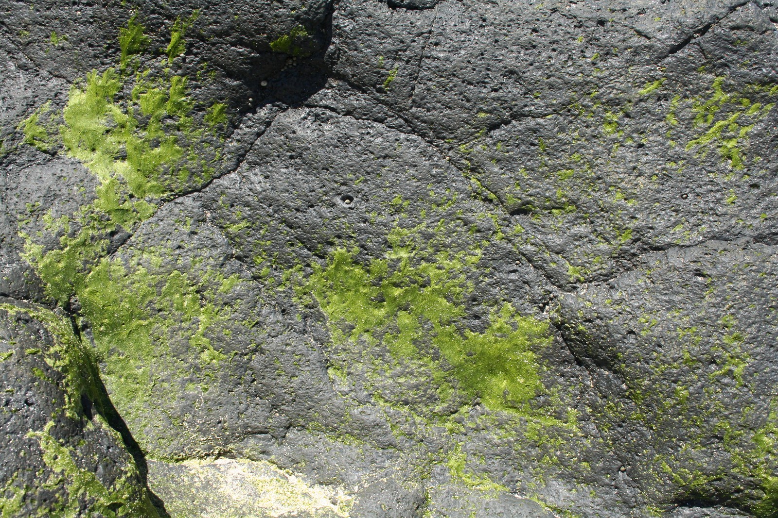 rock, geology, bedrock, moss, outcrop wallpaper