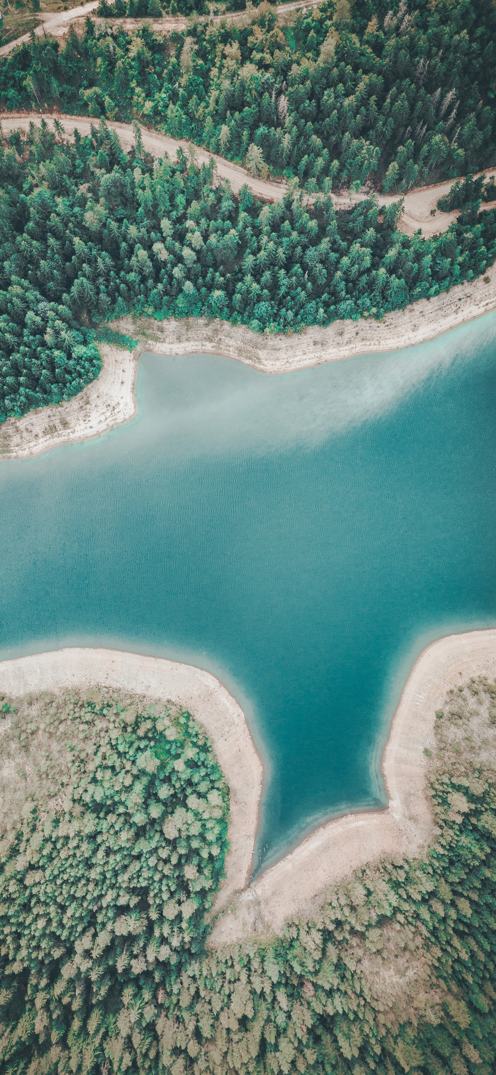 Aerial view of a lake surrounded by trees and sand (water resources, water, green, azure, natural landscape)