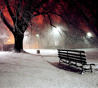 A solitary bench in a snow-covered park under a moody, foggy sky.