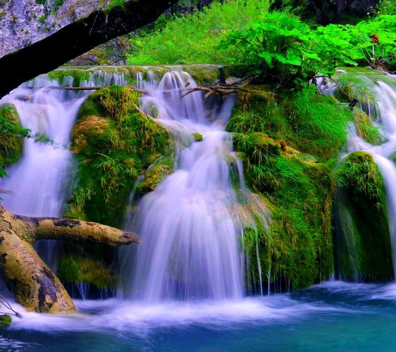 Un primer plano de una cascada con un árbol en el primer plano (paisaje, naturaleza, cascadas)