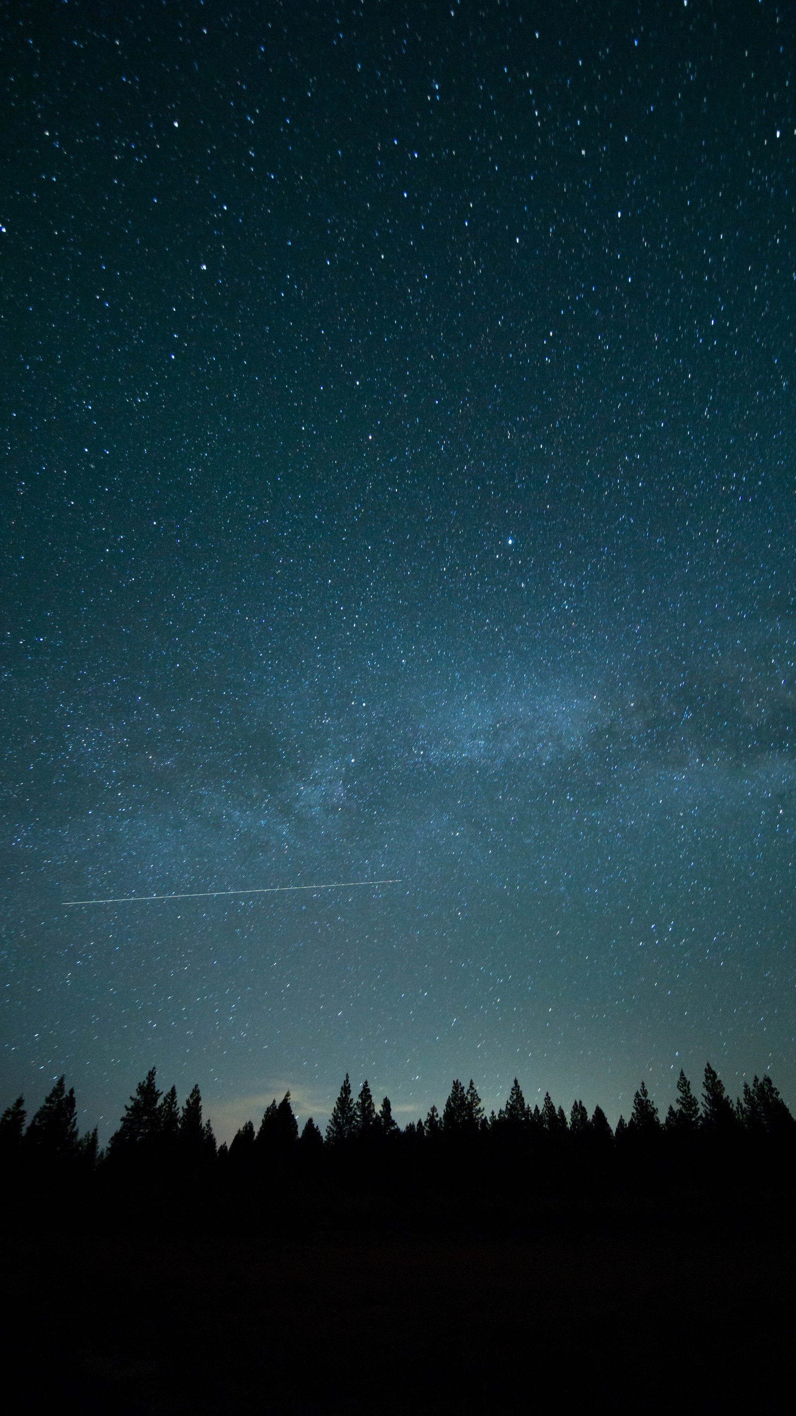 Céu estrelado com algumas árvores em primeiro plano (escuro, galáxia, noite, estrela cadente, céu)