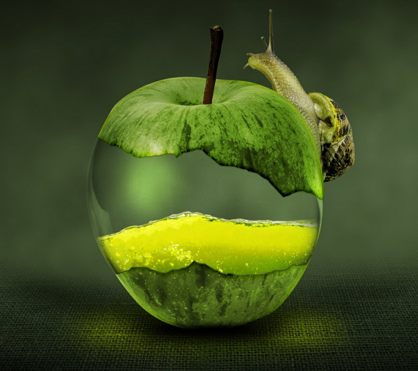 apple, green Download Wallpaper