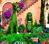 Cães topiários cercados por flores coloridas