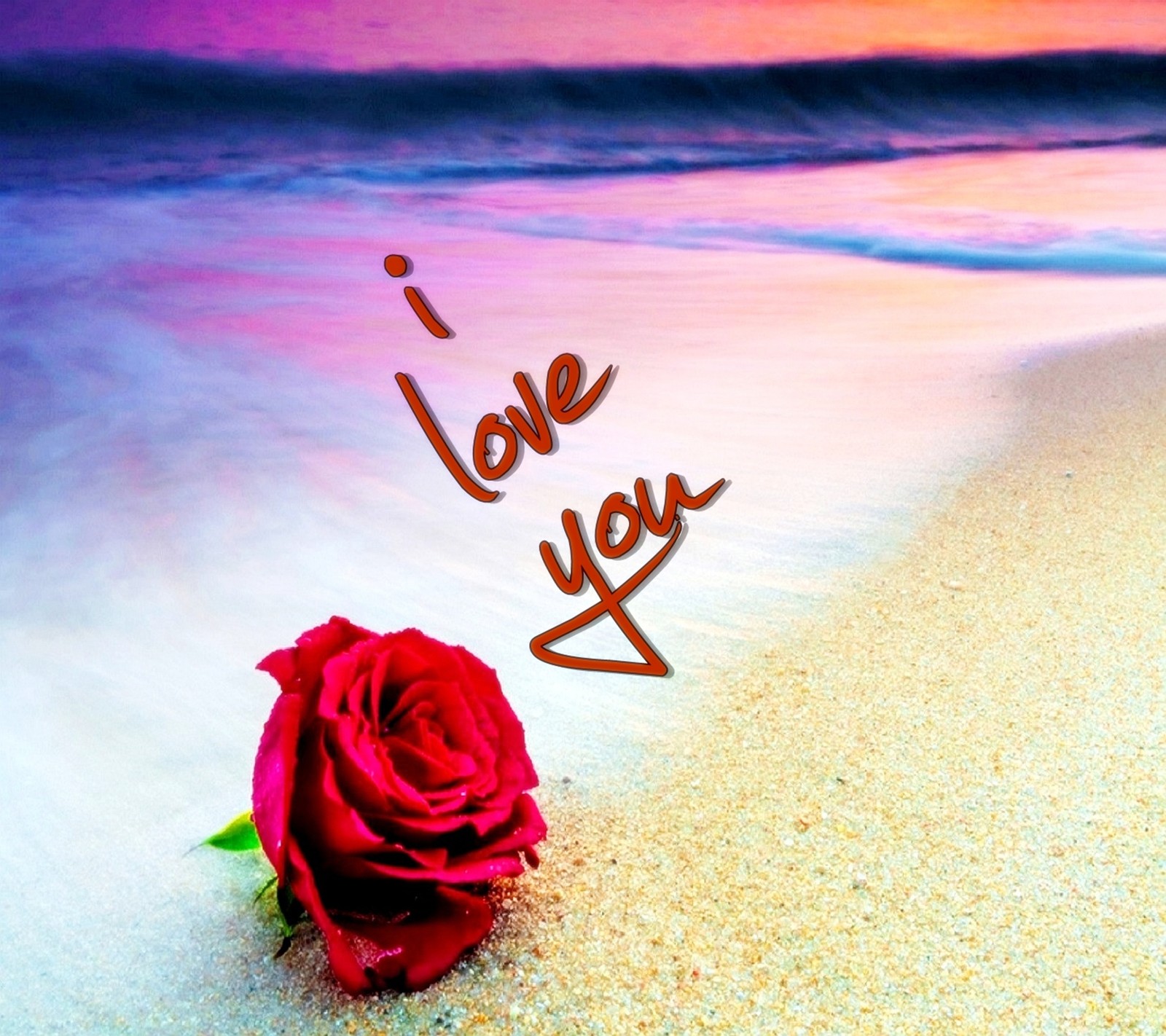 A close up of a rose on a beach with the words love you written in the sand (cool, forever, love, new, quote)