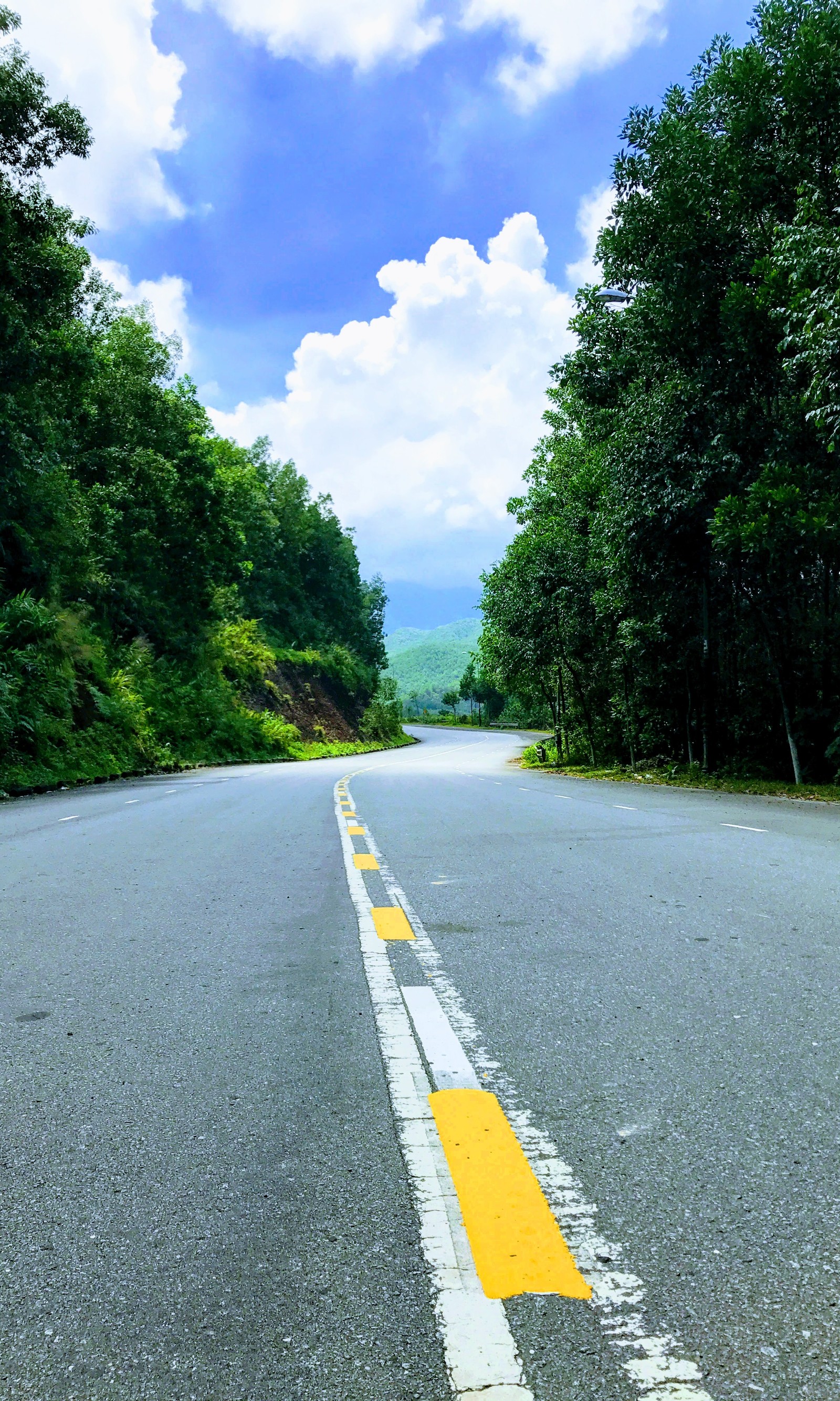 Uma linha amarela na estrada que passa pela floresta (estrada, roadtosky, céu)