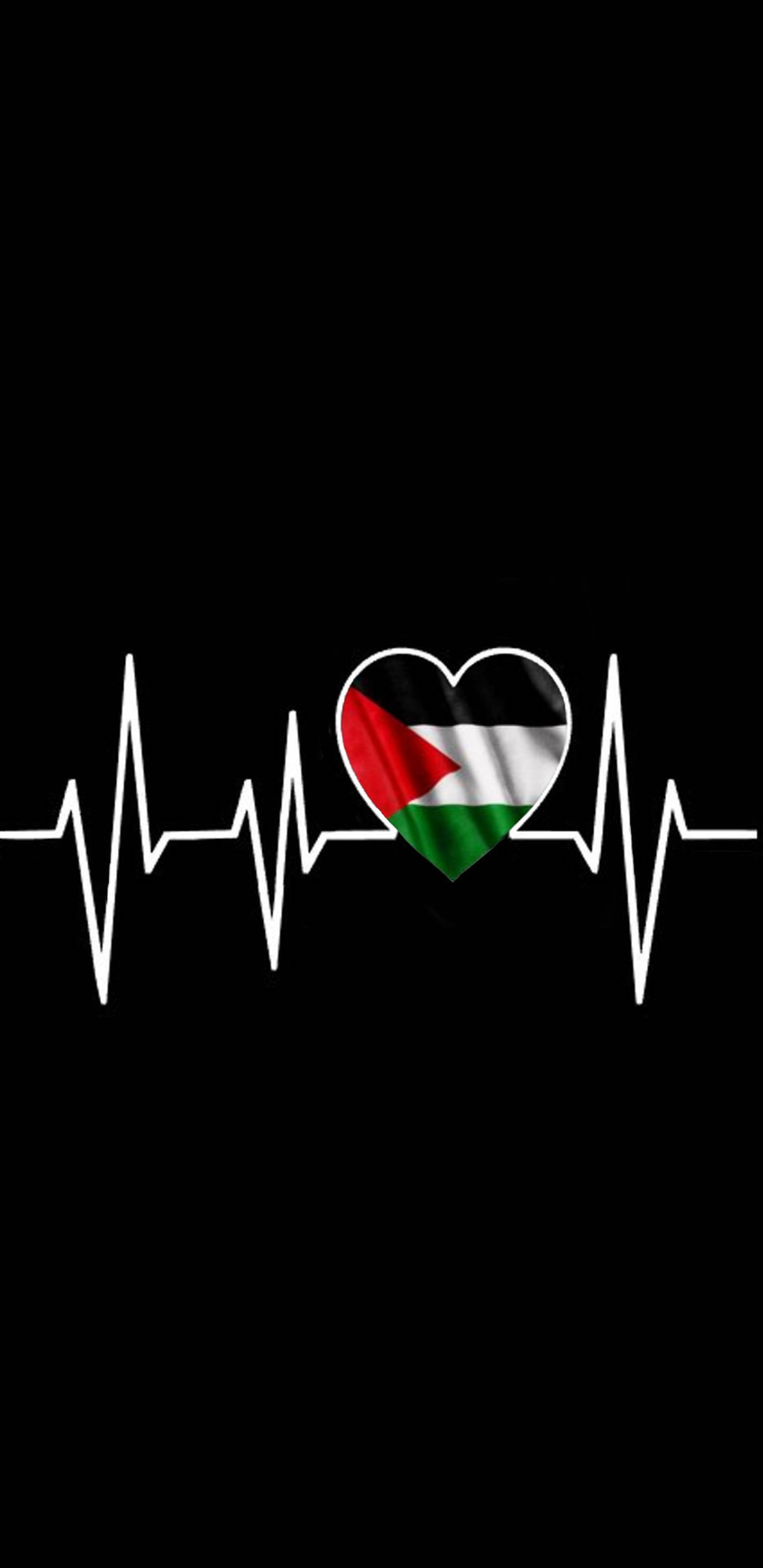 Descargar fondo de pantalla palestina, latido, palestino, corazón