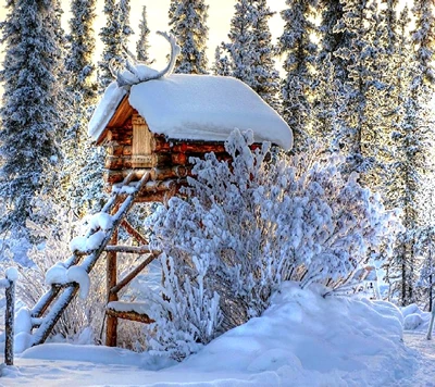 Cabaña de troncos cubierta de nieve rodeada de árboles helados en un sereno paisaje invernal.